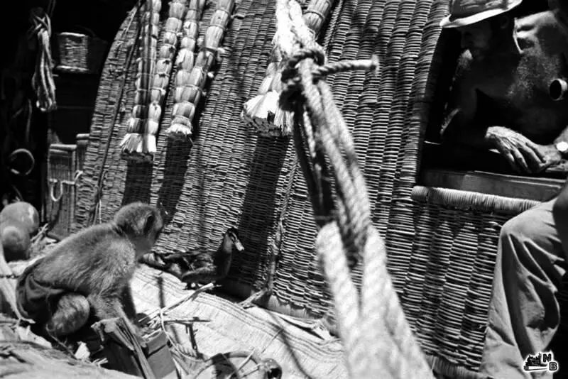 Тур Хейердал на палубе судна 1969 г Фото Юрий Сенкевич Слабый становится - фото 5