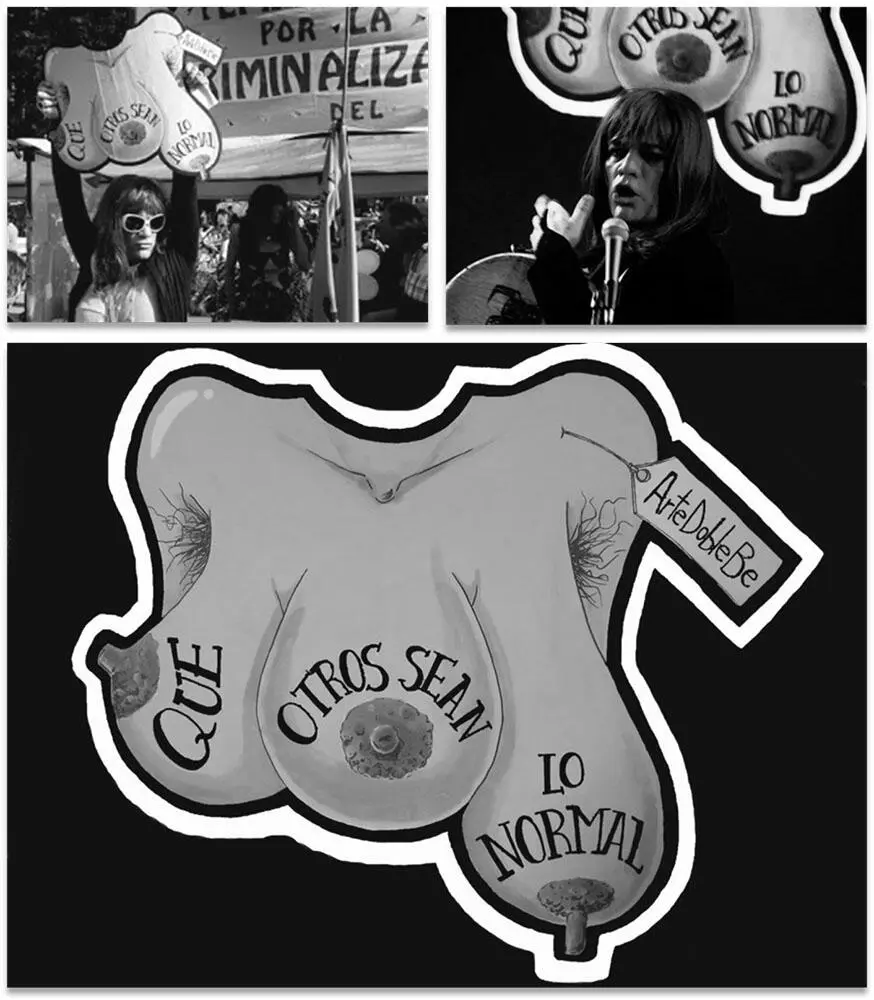 Figs 10 11 y 12 Susy Shock y su poemapancarta Reivindico mi derecho a ser - фото 9