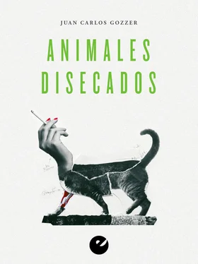Juan Carlos Gozzer Animales disecados обложка книги