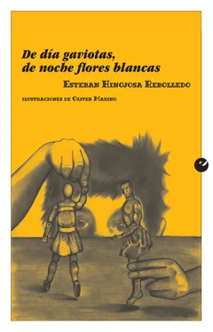 Esteban Hinojosa Rebolledo De día gaviotas, de noche flores blancas обложка книги