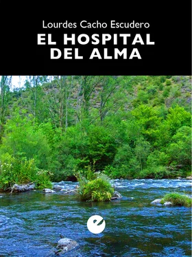 Lourdes Cacho Escudero El hospital del alma обложка книги