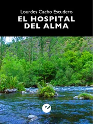 Lourdes Cacho Escudero - El hospital del alma
