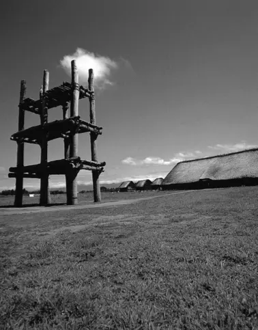 Reconstrucción de uno de los grandes edificios de postes de madera del - фото 5