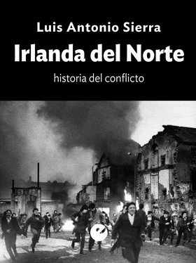 Luis Antonio Sierra Irlanda del Norte обложка книги