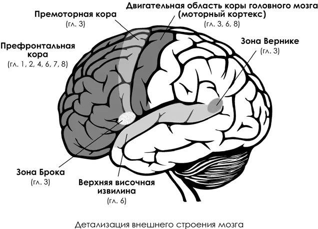Благодарности Эта книга никогда бы не появилась без - фото 37