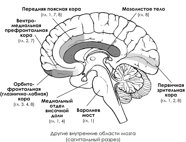 Благодарности Эта книга никогда бы не появилась без помощи и поддержки - фото 40