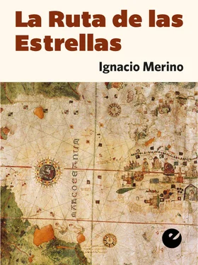 Ignacio Merino La Ruta de las Estrellas обложка книги