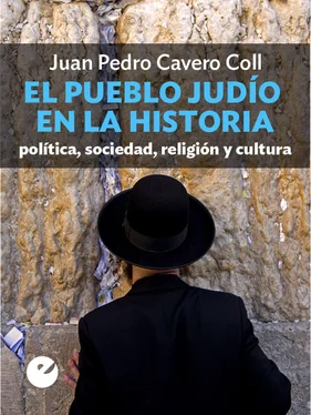 Juan Pedro Cavero Coll El pueblo judío en la historia обложка книги