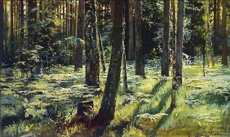 Папоротники в лесу 1883 Среди долины ровныя 1883 Русское богатство В - фото 22
