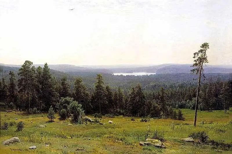 Лесные дали 1884 Сосна Мерикюль 1894 В лесу графини Мордвинов - фото 24