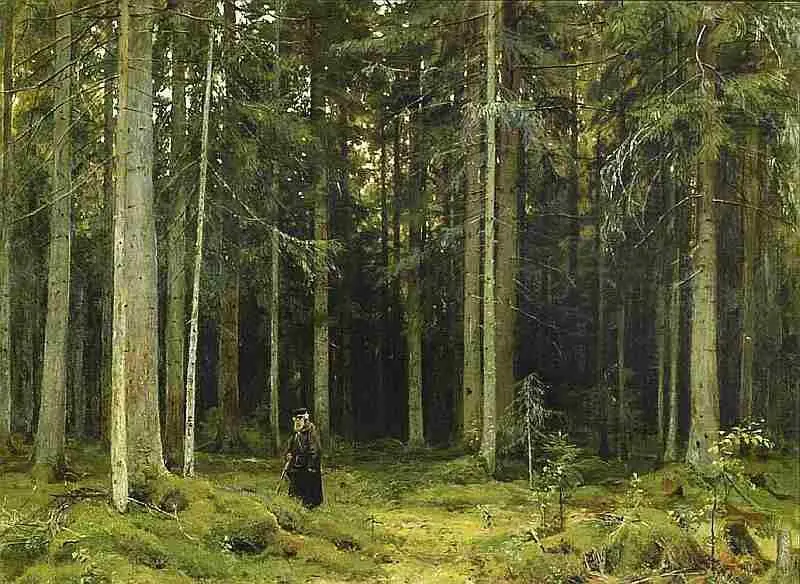 В лесу графини Мордвиновой Петергоф 1891 Лесная речка 1895 По - фото 26