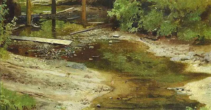 Лесная речка 1895 По произведениям Шишкина которые выставлялись в течение - фото 27