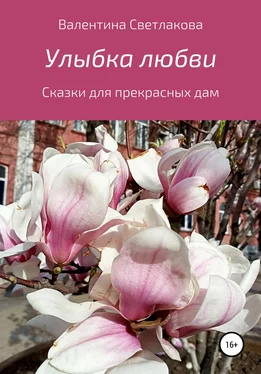 Валентина Светлакова Улыбка любви. Сказки для прекрасных дам обложка книги