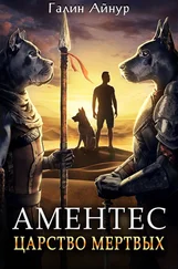 Айнур Галин - Аментес. Царство мертвых