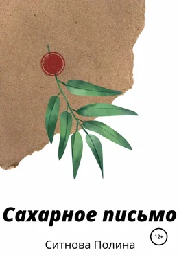 Полина Ситнова Сахарное письмо обложка книги