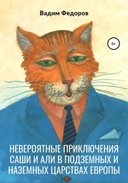 Вадим Федоров Невероятные приключения Саши и Али в Подземных и Наземных царствах Европы обложка книги