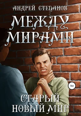 Андрей Степанов Между мирами: Старый новый мир обложка книги