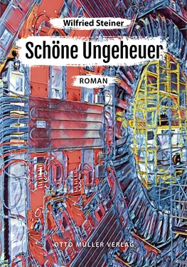 Wilfried Steiner Schöne Ungeheuer обложка книги