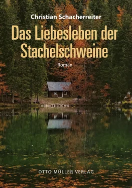 Christian Schacherreiter Das Liebesleben der Stachelschweine обложка книги