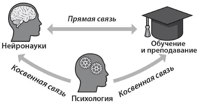 Нейронауки способствуют пониманию обучения и преподавания и наоборот как - фото 1