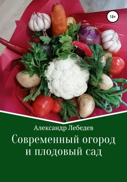 Александр Лебедев Современный огород и плодовый сад обложка книги