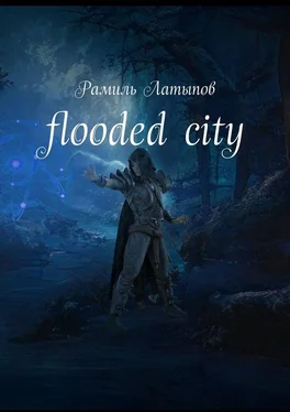 Рамиль Латыпов Flooded city обложка книги