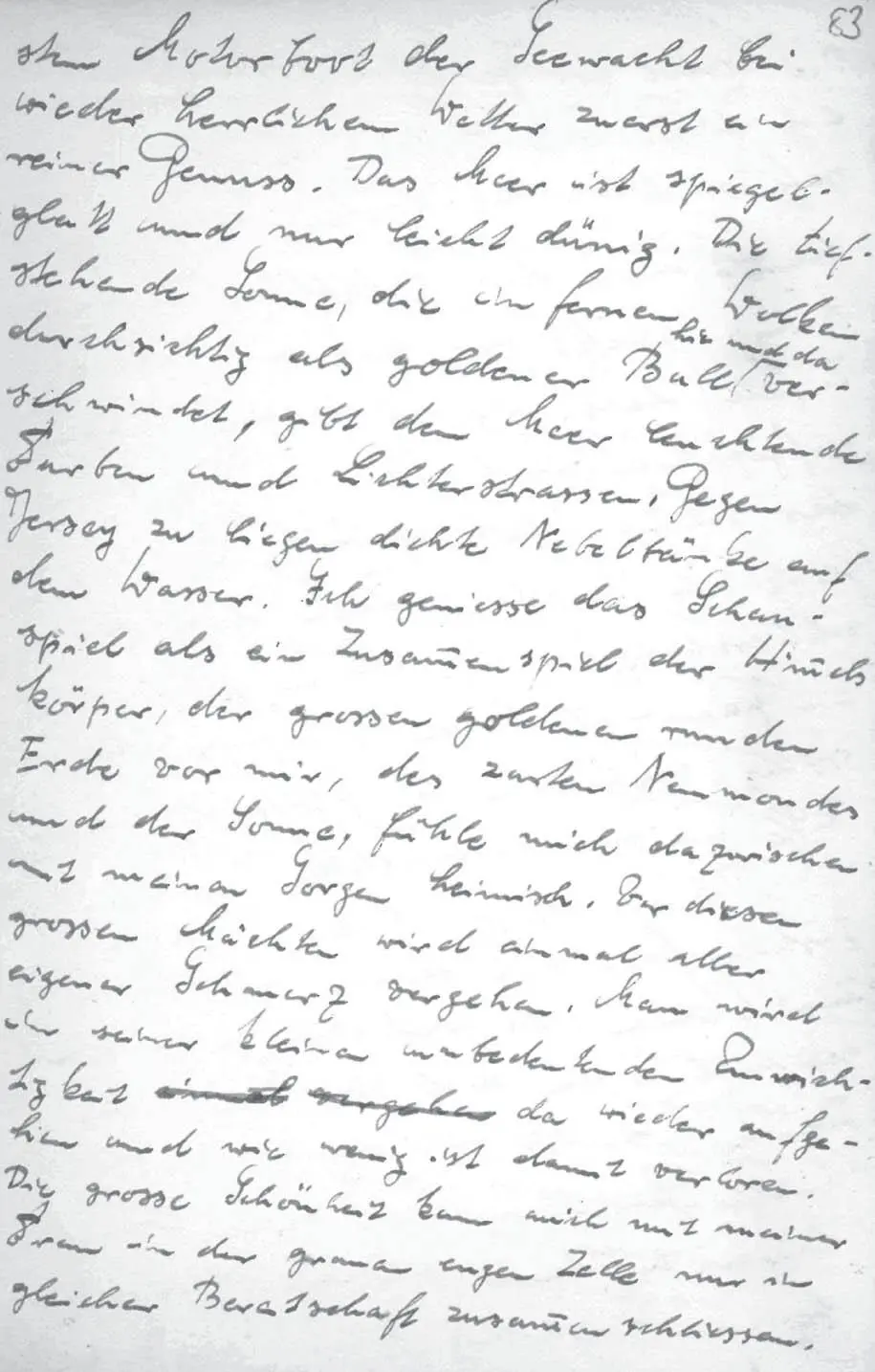 Schriftprobe 2 Normalschrift Tagebuch 3 Seite 83 Weiterhin gibt es eine - фото 11