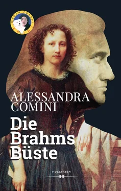 Alessandra Comini Die Brahms Büste обложка книги