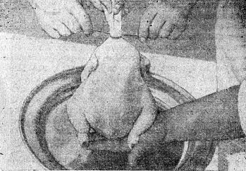 ТУТЫРГАН ТАВЫК курица фаршированная потатарски Для фарширования берется - фото 55