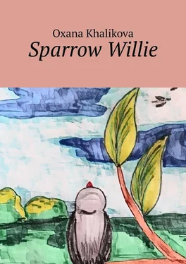 Oxana Khalikova Sparrow Willie обложка книги
