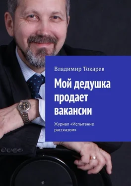 Владимир Токарев Мой дедушка продает вакансии. Журнал «Испытание рассказом» обложка книги