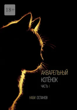 Наби Оспанов Акварельный котёнок. Часть I обложка книги