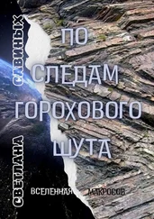 Светлана Савиных - По следам горохового шута