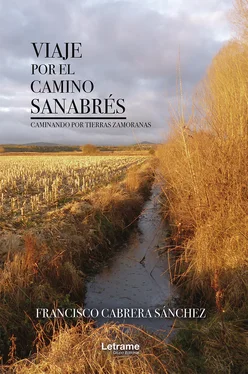 Francisco Cabrera Sánchez Viaje por el camino sanabrés обложка книги