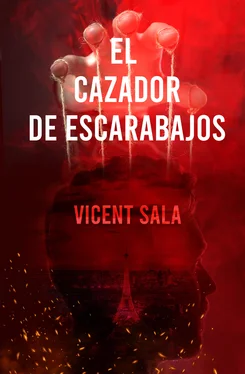 Vicent Sala El cazador de escarabajos обложка книги