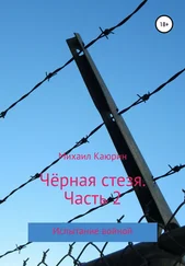 Михаил Каюрин - Чёрная стезя. Часть 2