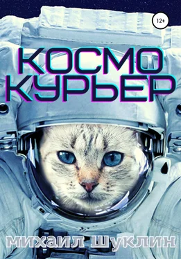 Михаил Шуклин Космокурьер обложка книги