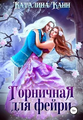 Каталина Канн - Горничная для фейри