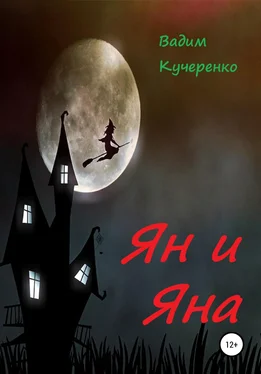 Вадим Кучеренко Ян и Яна обложка книги