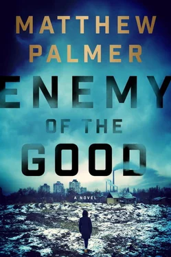 Matthew Palmer Enemy of the Good обложка книги