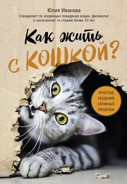 Юлия Иванова Как жить с кошкой? Простые решения сложных проблем