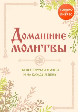 Ирина Булгакова Домашние молитвы. На все случаи жизни и на каждый день обложка книги