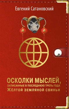 Евгений Сатановский Осколки мыслей, записанные в последнюю треть года Жёлтой Земляной Свиньи обложка книги
