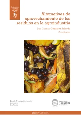 Luis Octavio González Salcedo Alternativas de aprovechamiento de los residuos en la agroindustria обложка книги