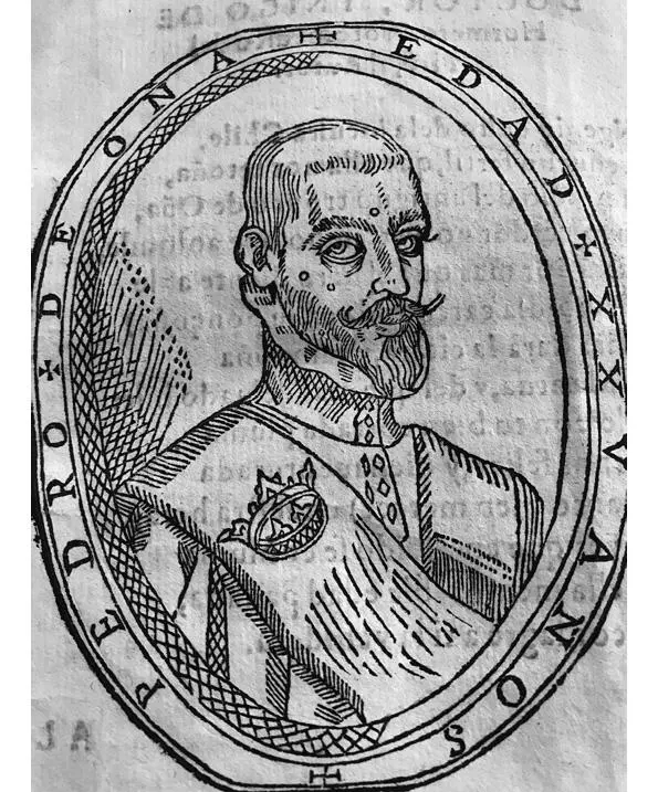Retrato de Pedro de Oña incluido en la edición de Arauco domado Lima 1596 - фото 4