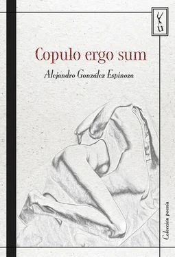 Alejandro González Espinoza Copulo ergo sum обложка книги