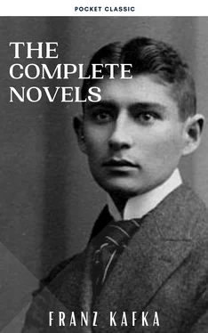 Franz Kafka Franz Kafka: The Complete Novels обложка книги