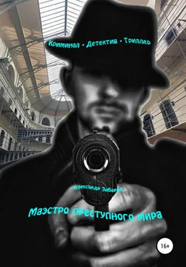 Александр Зиборов Маэстро преступного мира обложка книги