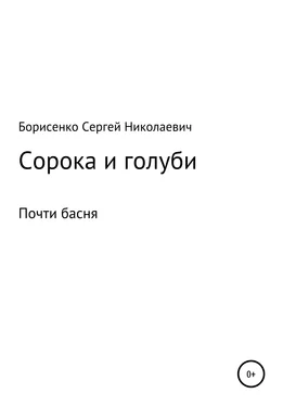 Сергей Борисенко Сорока и голуби обложка книги