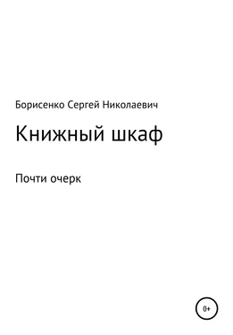 Сергей Борисенко Книжный шкаф обложка книги